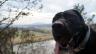 Filename: 118.JPG
Size: 429.62 KB
02-01-2016, 12:37 PM